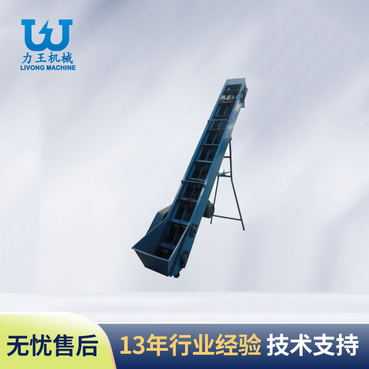 河南杏鲍菇输送机