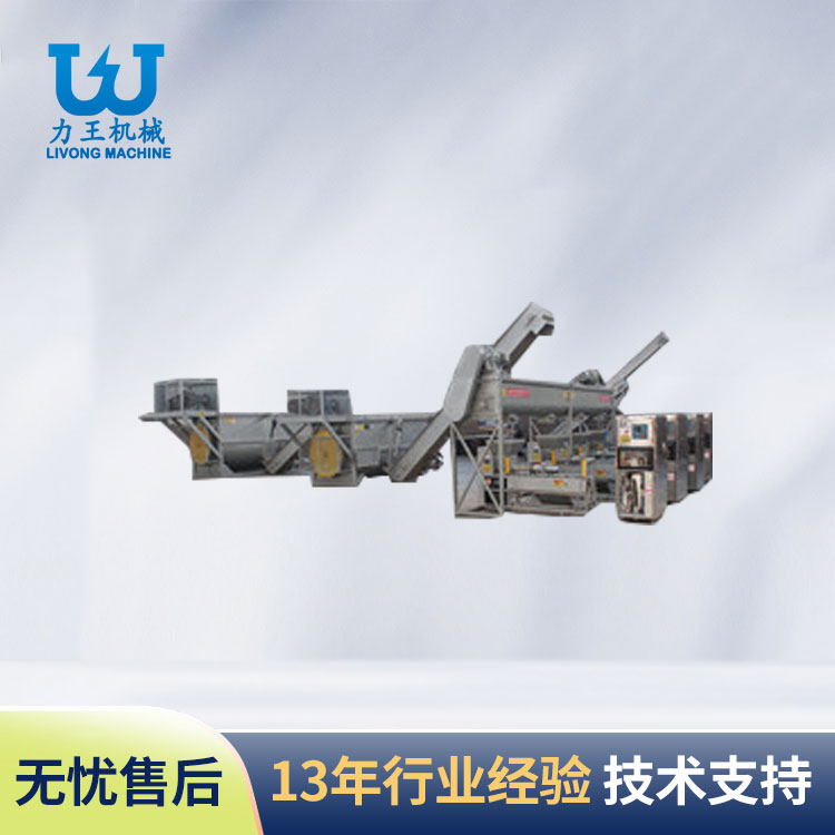 河南双机自动装袋生产线
